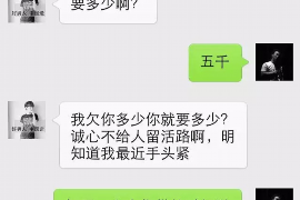 楚雄要账公司